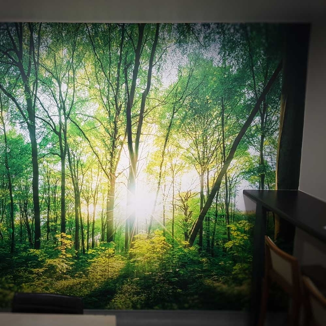 Wall Graphics